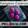 Kangaroo Essence 02